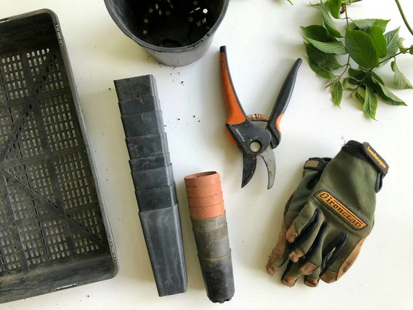 Quelle est la meilleure façon de ranger des outils de jardinage sans cabanon ?